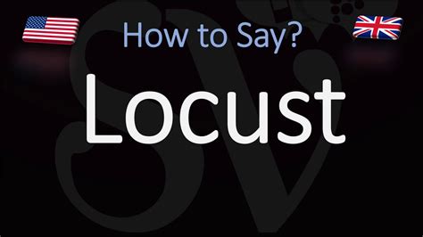 locust traduction|how to pronounce locust.